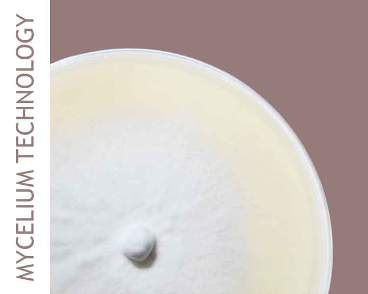 Mogu Mycelium Technology