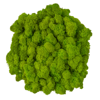 Apple Green