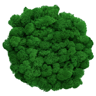 Moss Green