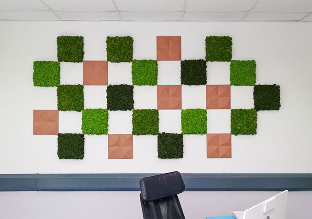 Moss Elements - Reindeer Moss